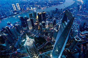 上海农业产品的国际市场潜力 上海农业产品的国际市场潜力